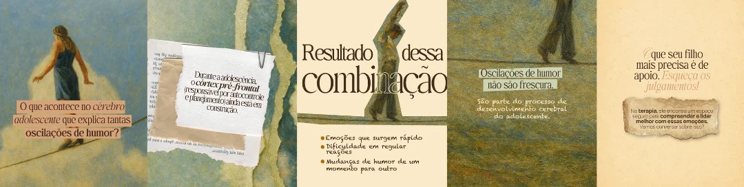 Carrossel Coleção IV